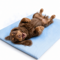 Tapis Rafraîchissant pour Chien