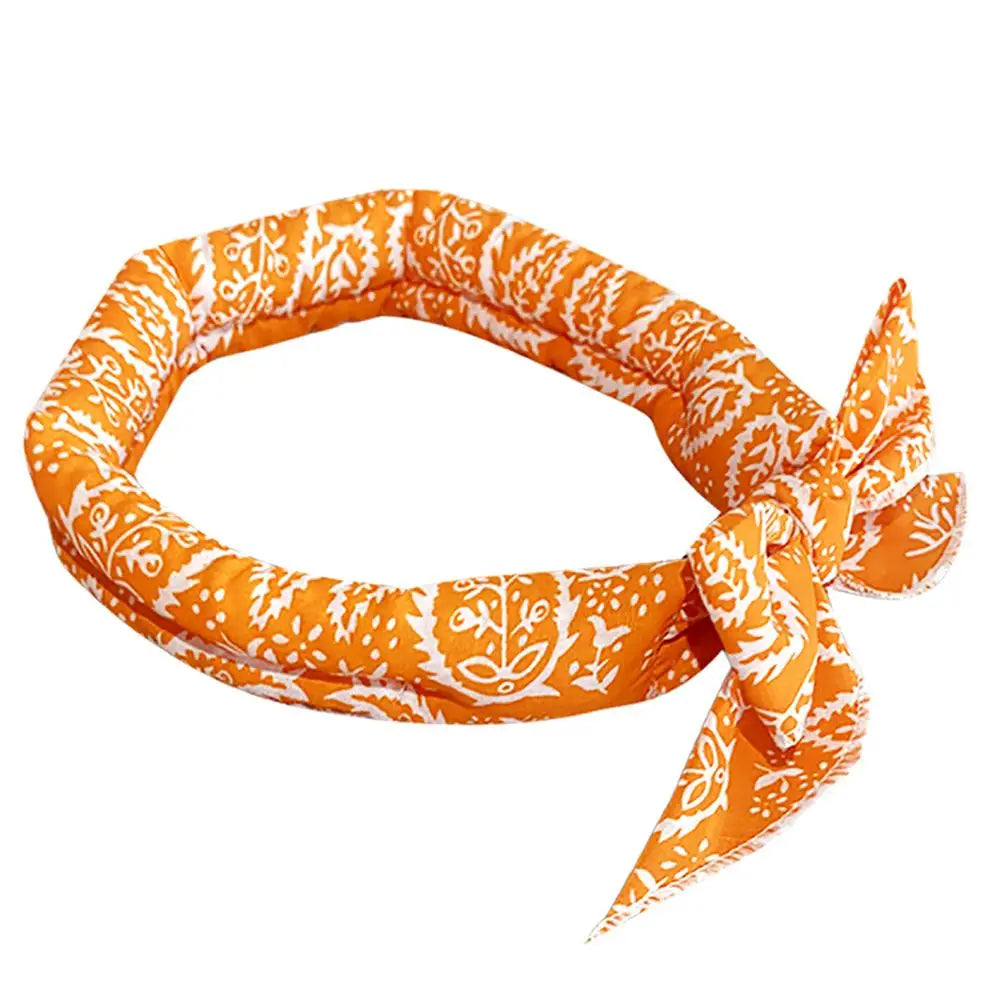 Bandana Rafraîchissant pour Chien